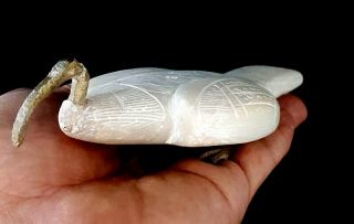 Ibis Egyptian Thoth Statue God Head Ancient Figurine Sculpture And Bird Egypt 6
