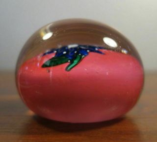 NEGC Antique Paperweight Clematis with PINK Background England Glass Co. 6