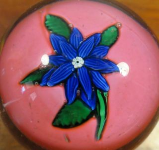 NEGC Antique Paperweight Clematis with PINK Background England Glass Co. 7
