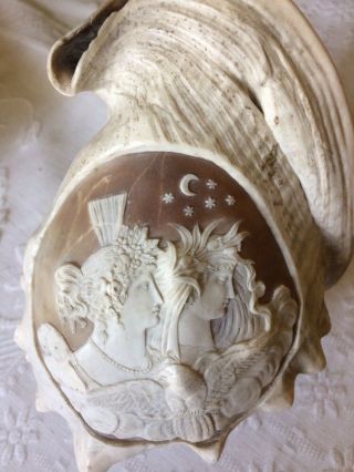 Victorian Antique Carved Sea Shell Large