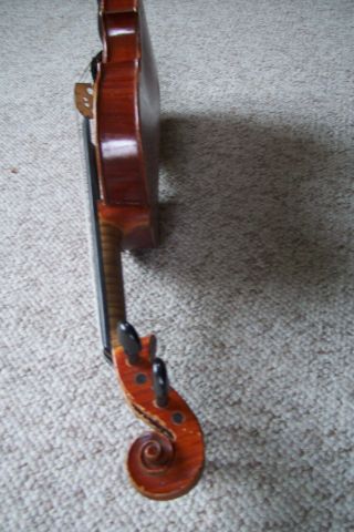 Robert Glier For Wurlitzer 1901 Cincinnati 4/4 Violin & Case 4