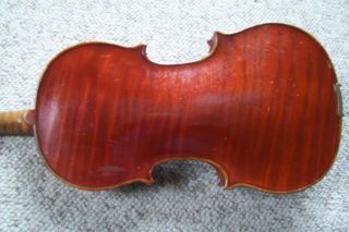 Robert Glier For Wurlitzer 1901 Cincinnati 4/4 Violin & Case 5