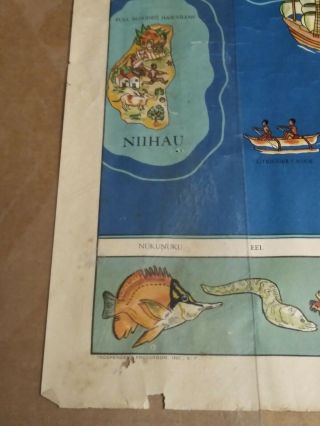 1937 Dole Pineapple Map of Hawaiian Islands Poster Hawaii 5