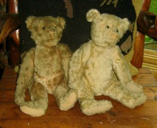 Antique Steiff Teddy Bears Friends Over 100 Years Wow