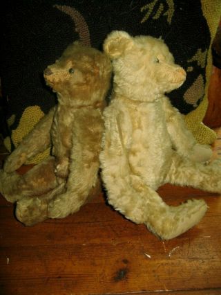 Antique Steiff Teddy Bears Friends over 100 Years WOW 3