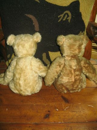 Antique Steiff Teddy Bears Friends over 100 Years WOW 5