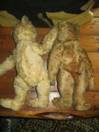 Antique Steiff Teddy Bears Friends over 100 Years WOW 6