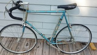 Vintage 1975 Raleigh Professional Frame With Campagnolo Components.