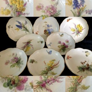 8 Antiques Meissen Porcelain Berry Bowls Art Nouveau Naturalistic