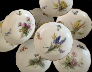 8 Antiques meissen porcelain Berry Bowls Art Nouveau Naturalistic 2