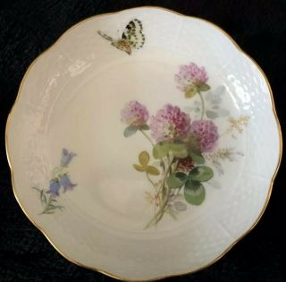 8 Antiques meissen porcelain Berry Bowls Art Nouveau Naturalistic 3