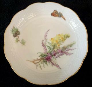 8 Antiques meissen porcelain Berry Bowls Art Nouveau Naturalistic 6