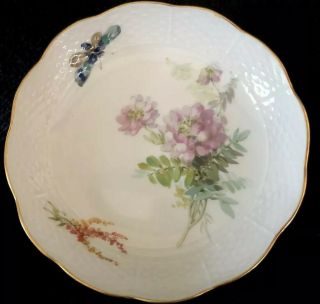 8 Antiques meissen porcelain Berry Bowls Art Nouveau Naturalistic 8