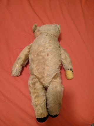 Antique Steiff Mohair Teddy Bear Old Button 20 "