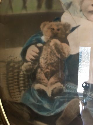 Rare Early Antique Steiff Teddy Bear 1913 And Picture Of Child Holding It 1913 12
