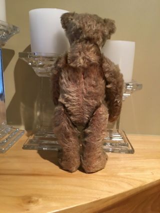 Rare Early Antique Steiff Teddy Bear 1913 And Picture Of Child Holding It 1913 7