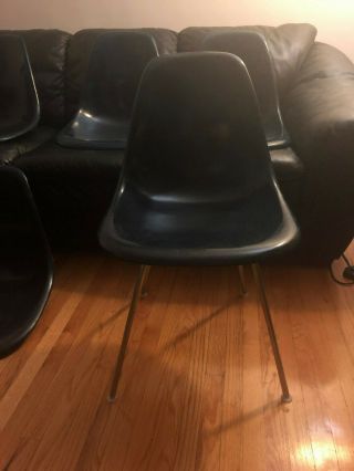 5 Navy Blue Herman Miller Eames Chair