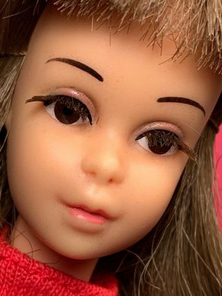 Rare & Htf - Brown Eye Variation Of The Vintage Japanese Francie Doll