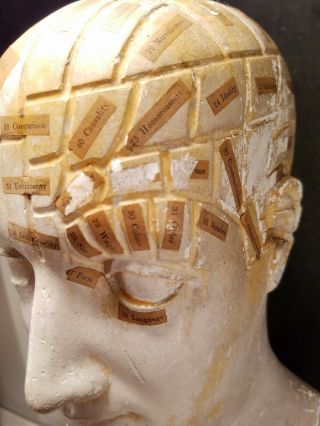 Antique Phrenology Bust Head 1865 Plaster England Made By Frederick Bridges 12