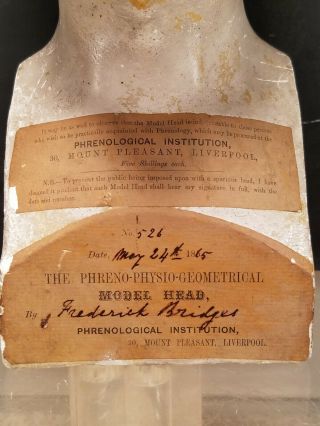 Antique Phrenology Bust Head 1865 Plaster England Made By Frederick Bridges 2