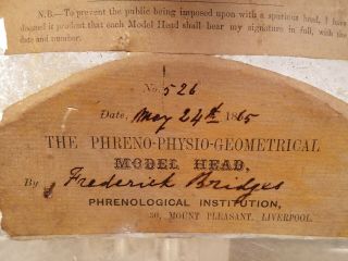 Antique Phrenology Bust Head 1865 Plaster England Made By Frederick Bridges 3