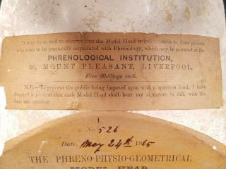Antique Phrenology Bust Head 1865 Plaster England Made By Frederick Bridges 4