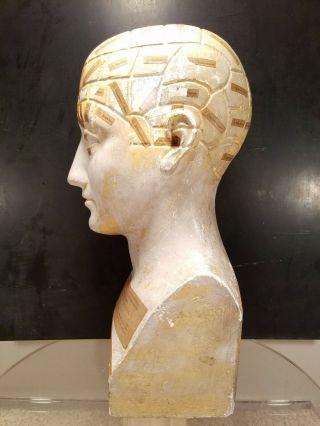 Antique Phrenology Bust Head 1865 Plaster England Made By Frederick Bridges 6