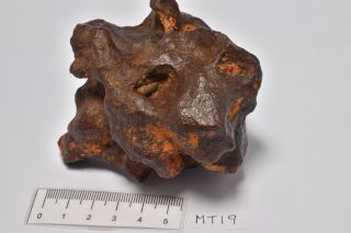 Mundrabilla Iron Meteorite,  With Hole,  Extremely Rare Australia (mt19)