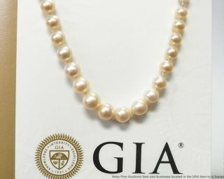 Rare Gia 1890 Dreicer Natural Pearl Strand Necklace Platinum Diamond Clasp Rare