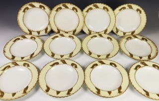 Rare Set Of 12 Antique Bodley Porcelain Turtle Soup Bowls With Cream Borders