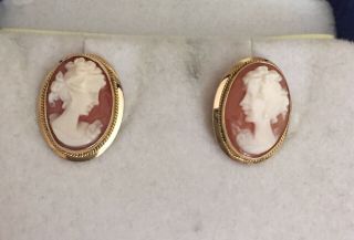 Cameo Earrings Set In 14kt (marked),  Vintage,  Made In Italy