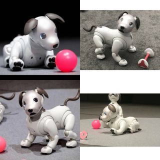 Sony AIBO ERS - 1000 White robot dog Very Rare with Dice,  Bone and pad From Japan 2
