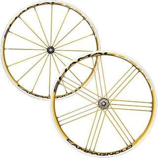 Ultra Rare Campagnolo Shamal Ultra Tubular Gold Road Bike Wheelset