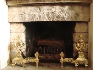 Pair French Antique Brass Bronze Ormolu Louis XVI Andirons Chenets 18th.  C 9