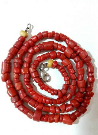 Antique Rare Natural Blood Red Coral Undyed Necklace Untreated 23 " 27.  8 Gr