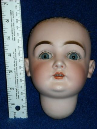 Antique Kestner 146 Bisque Doll Head Only 6.  5 Inches Tall 12 Inch Circumference