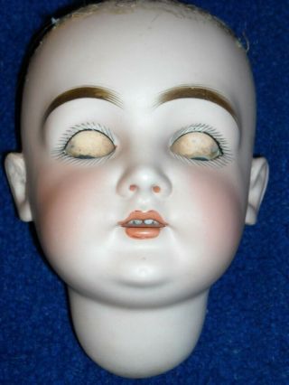 ANTIQUE KESTNER 146 BISQUE DOLL HEAD ONLY 6.  5 inches tall 12 inch circumference 3