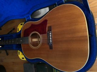 Vintage 1964 Gibson J50 Acoustic Guitar 2