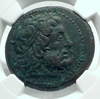 Ptolemy Ii Philadelphos Ancient Greek Coin Syracuse Sicily Hieron Ii Ngc I78527