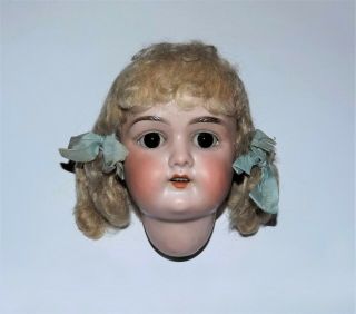 Antique German Bisque Blonde Hair Brown Eyes Vtg Armand Marseille A.  M.  Doll Head