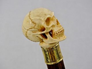 Gorgeous Memento Mori Skull Antique Walking Cane Stick Hand Carved 14k Gold Band