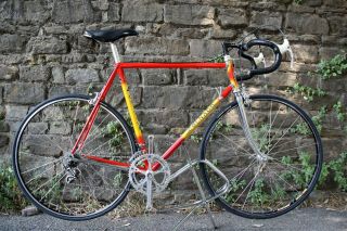 Colnago Master Campagnolo Record Panto Italy Steel Bike Vintage Eroica