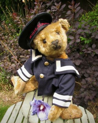 Skipper,  Antique Old Mohair Steiff Teddy Bear With Blank Button