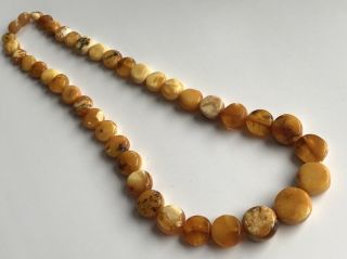 Natural Antique Baltic Vintage Amber OLD BUTTERSCOTCH BEADS Necklace 24 gr 7