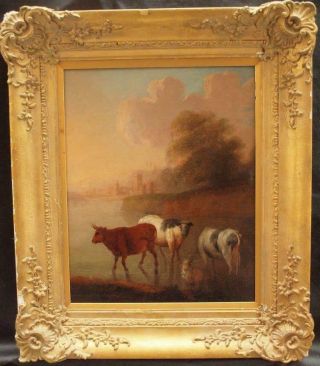 Fine 18th Century Flemish School Cattle Watering At Sunset Antique Oil Painting