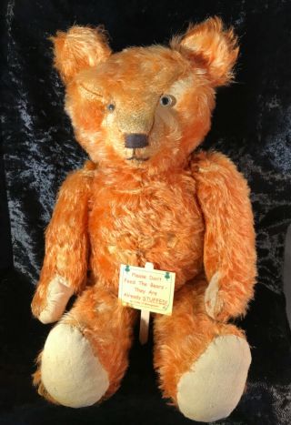 Antique Jopi Steiff Helvetic Swiss Musical Bellows Orange Mohair Teddy Bear 1930