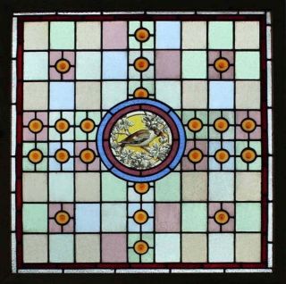 Rare Stunning English Victorian Painted Bird In Blossom Stained Glass Window