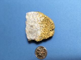 Gold In Quartz Nugget,  Rare And