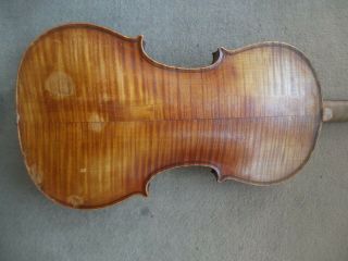 antique old violin made by Bela Szepessy London 1899 No.  146 4