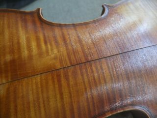 antique old violin made by Bela Szepessy London 1899 No.  146 9